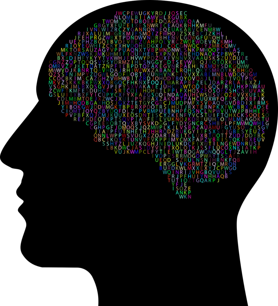 cranium, head, human-2952552.jpg